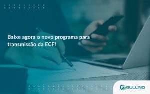 Baixe Agora O Novo Programa Para Transmissao Da Ecf Guillino - GULLINO Contabilidade - Escritório em São Paulo/SP