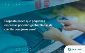 Proposta Prevê Que Pequenas Empresas Poderão Ganhar Linhas De Crédito Com Juros Zero Guilino Contabil - GULLINO Contabilidade - Escritório em São Paulo/SP