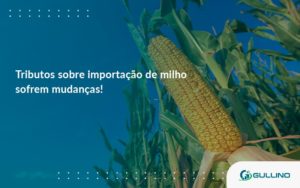 Tributos Sobre Importação De Milho Sofrem Mudanças! Guilino Contabil - GULLINO Contabilidade - Escritório em São Paulo/SP